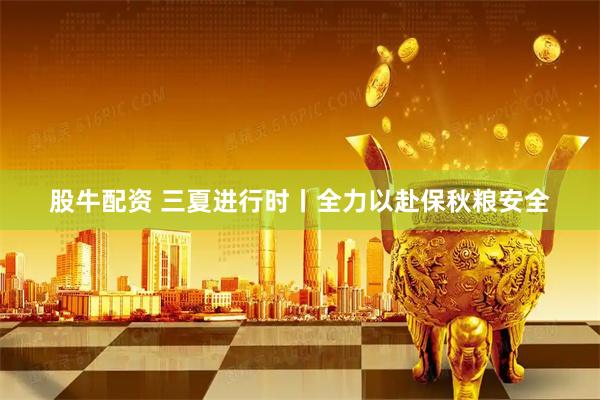 股牛配资 三夏进行时丨全力以赴保秋粮安全