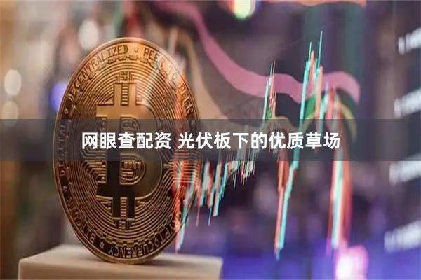 网眼查配资 光伏板下的优质草场