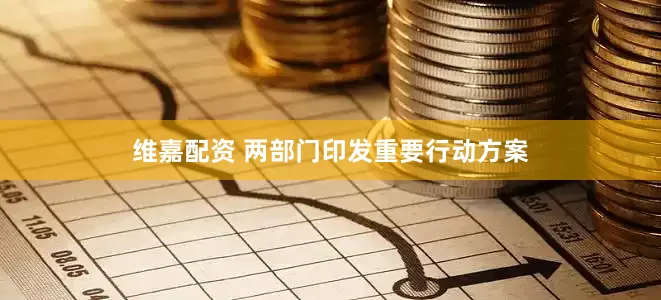 维嘉配资 两部门印发重要行动方案